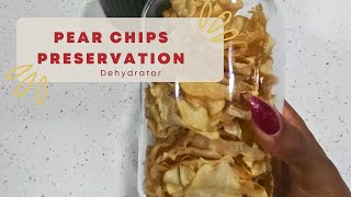 Making Pear Chips with Dehydrator  Pear Preservation Part 3 [upl. by Vanhomrigh]