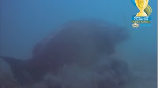 Giant 23kg carp takes a boilie in front of the camera at lake Bolsena [upl. by Herrington]