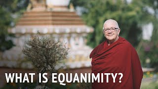 What is Equanimity  Dr Chönyi Taylor [upl. by Darcee]