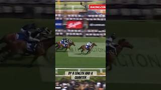 WAY TO GOOD G1 COOLMORE horseracing sporthorses horsesports automobile [upl. by Ivetts]