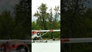 Alaska is the place to be Watch our video from Bear Viewing in Lake Clark National Park alaska [upl. by Bamford]