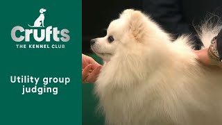 Group Judging Utility and Presentation  Crufts 2023 [upl. by Hurty]