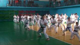 Masao Kagawa Tekki shodan [upl. by Alick]