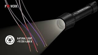 Ledlenser P7R Work Flashlight [upl. by Magner]