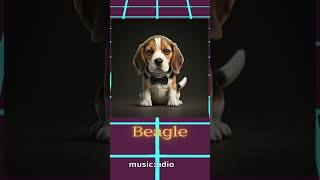 Adventures of a Playful Beagle A Day in the Life🐶shots dog ai [upl. by Randy]