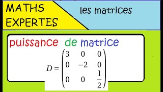 Terminale Maths Expertes Les matrices  exercice  puissance dune matrice [upl. by Erdnassak849]