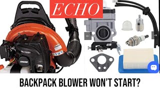 ECHO BACKPACK BLOWER NO START [upl. by Devaney]