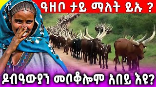 🔥መቦቆል ዶብዓውያን አበይ ይኡ መአዚ ይኡ ዓሚቅ ትንታነ ብነገደ ደብዓ [upl. by Ledba]