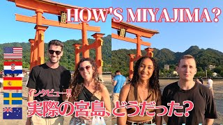 Interview about Miyajima Island and Japan Travel How to enjoy Miyajima in summer beautiful sunset [upl. by Ecirtram]