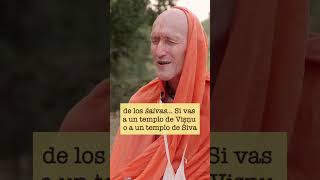 Parece lo Mismo Pero No lo Es bhakti prabhupada iskcon hinduismo [upl. by Neztnaj132]