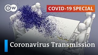 Latest research How to prevent coronavirus infections  COVID19 Special [upl. by Bernette]