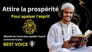 Voix paisible Sourate Waqiah Voix Relaxante pour Apaiser lAnxiété et Calmer lEsprit [upl. by Erena]