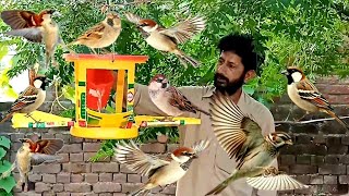 چڑیوں کو ڈالیں دانہ  How To Make A Bird Feeder  DIY Homemade Plastic Bottle Bird Feeder [upl. by Jemena]