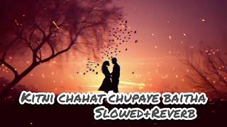 Kitni chahat chupaye baitha hu🎧SlowedReverb🎧 Babul Supriyo  Sadhana Sargam  Himmatwar [upl. by Oriaj421]