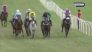 Cheltenham Festival 2019 Day 2  All Finishes [upl. by Sissie]