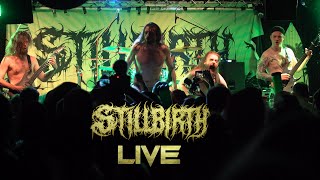 Stillbirth  Global Error  live at Helvete Oberhausen  May 2024 [upl. by Novla]