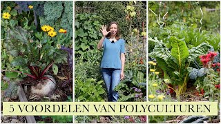 5 voordelen van POLYCULTUREN [upl. by Pallaten]