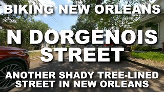 N Dorgenois Street  Another Shady TreeLined Street  Biking New Orleans [upl. by Kinnard]