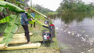 Genius Way They Feed Thousands of Fish With Banana Tree Slicers [upl. by Ulland]