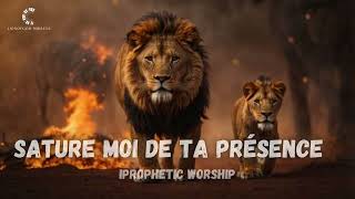 Sature moi de ta présence Prophetic Worship Instrumental  Prayer Music [upl. by Yssirc389]