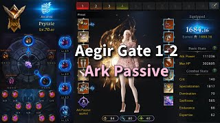 Lost Ark Aegir With Cheapo Ark Passive Read Pin [upl. by Eveivenej58]