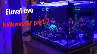 Fluval evo 135 mixed reef kalkwasser part 2 [upl. by Aneelehs]