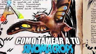 COMO TAMEAR A TU SINOMACROPS  Guia Español  Ark Survival Evolved [upl. by Alinoel]