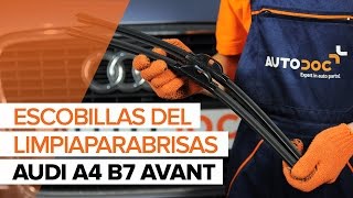 Cómo cambiar Escobillas del limpiaparabrisas delantero en AUDI A4 B7 AVANT INSTRUCCIÓN  AUTODOC [upl. by Anuahsat944]