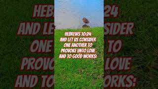 Hebrews 1024 KJV [upl. by Aime]