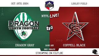 NTFL Youth Football  Dragon Gray at Coppell Black 3rd Grade10191100 ALesley Field 1 [upl. by Ubana380]