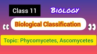 Class 11  Biological Classification TopicPhycomycetes Ascomycetes ncert [upl. by Ettenhoj]