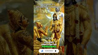 Bhagavad Gita Chapter 11 1150 [upl. by Ajdan]