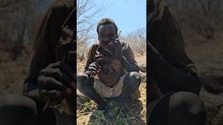 Hadzabe Tribe Elder Still Has Teeth To Chew BushMeatshortsfeed hadzabetribe [upl. by Grimaldi]