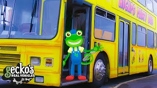 Gecko And The Party Bus  Educational Videos for Kids [upl. by Aran75]