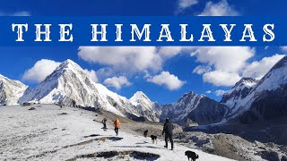 TREKKING IN THE HIMALAYAS OF NEPAL  4K CINEMATIC VIDEO [upl. by Taylor62]