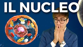 IL NUCLEO della Cellula in 2 MINUTI E MEZZO [upl. by Verity]