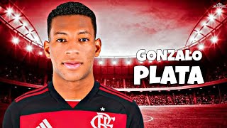 Gonzalo Plata 2024  Bem vindo ao Flamengo  SKills amp gols  HD [upl. by Buckels]