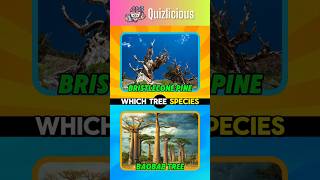 What plant can survive without water for years by going dormant quiz riddles plants trivia [upl. by Staffan]