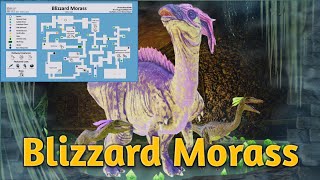 Blizzard Morass Dungeon  Ark Mobile arkmobile arkmobiledungeon dungeonarkmobile [upl. by Leora849]