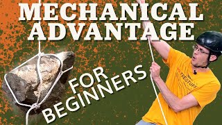 How to Use Mechanical Advantage to Pull Trees and Lift Logs [upl. by Eilegna847]