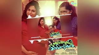 Veyil Chilla  Zachariyayude Garbhinikal  Movie  Vishnu  Vishnu Sharath  Malayalam Hits [upl. by Urbannal898]