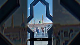 Hum ne ankhon se dekha  Naat  Heart touching naat  beautiful kalam  best naat 2024  naat [upl. by Tootsie907]