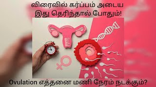 How Long Does Ovulation Last in Tamil  Ovulation எவ்வளவு நேரம் நடக்கும் [upl. by Htiekram]