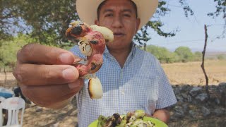 Guamúchiles asados un manjar para los dioses [upl. by Osugi]