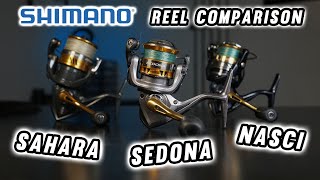 Shimano Sedona Sahara and Nasci Which Do You Need Full Comparison [upl. by Euqinomahs352]