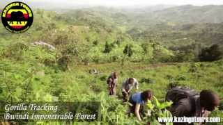 Kazinga Tours Uganda Highlights [upl. by Glad397]