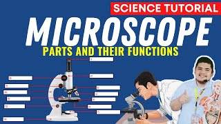 MICROSCOPE PARTS AND FUNCTIONS  SCIENCE 7 QUARTER 2 MODULE 1 [upl. by Dnalyr]