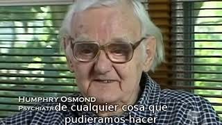 Dr Hoffer  Esquizofrenia Tratamiento Bioquimico  Ortomolecular [upl. by Reel]