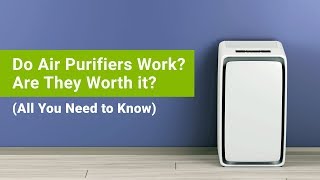 Do Air Purifiers Actually Work Are Air Purifiers Worth it Do You Need and Air Purifier at All [upl. by Yusuk]