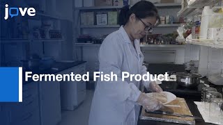 HighQuality Fermented Fish Product Preparation  Protocol Preview [upl. by Bremble664]